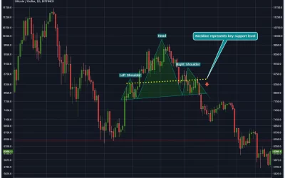 Crypto Trading 101: Simple Charting Patterns Explained