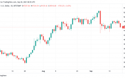 ‘Best bear market ever’ — 5 things to watch in Bitcoin this week