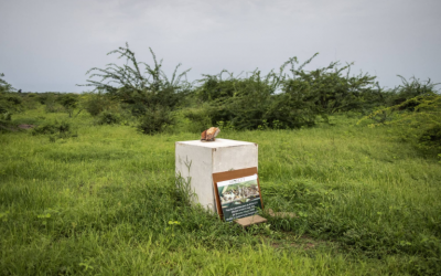 Senegalese locals left disillusioned by lack of progress on Akon City