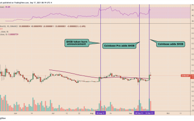 Shiba Inu (SHIB) jumps 40% on Elon Musk’s cryptic endorsement, Coinbase listing