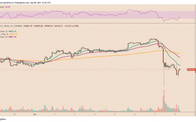 Bitcoin’s sharp fall from $50K linked to stronger US dollar, gold — Correlation shows