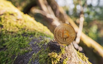 Cryptowisser : Cryptocurrency Likely to Be More Environmentally Friendly Than Traditional Banks