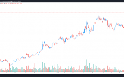 3 reasons why Polkadot could be the next altcoin to hit a new all-time high