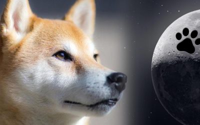 Dogecoin’s Four-Legged Fall — DOGE Slides to 9th Market Cap Position Dropping 18% Last Month