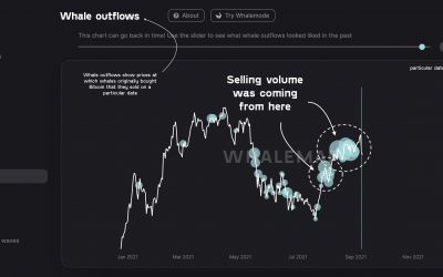 ‘Who was selling? Not HODLers’ — New data hints at Bitcoin crash ‘culprit’ amid leverage wipe-out