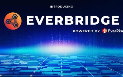 EverRise Brings Buyback Token and Ecosystem of dApps to Polygon and Ethereum