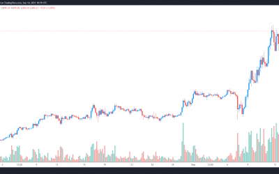 Three reasons why the price of Elrond (EGLD) is hitting new daily highs