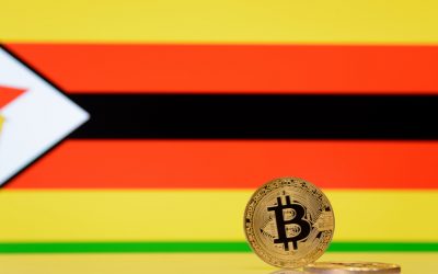 Zimbabwean Minister Says Cryptocurrency Based Solutions ‘Could Lower Charges for Diaspora Remittances’