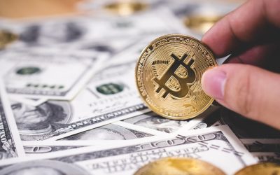 61% of US Adults Do Not Oppose Bitcoin as Legal Tender, Survey Shows