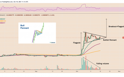 Shiba Inu eyes ‘much wow’ 90% breakout as SHIB price paints a textbook bull pattern