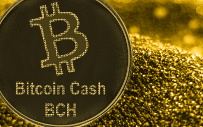 Where to buy Bitcoin Cash as BCH shows signs of consolidation