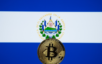 El Salvador to channel Bitcoin gains into a veterinary project