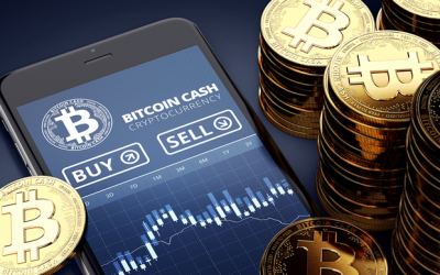 Where to buy Bitcoin Cash as BCH registers 4% gains