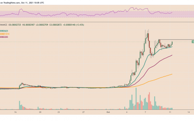 Shiba Inu rebounds 40% despite major selling by SHIB whales