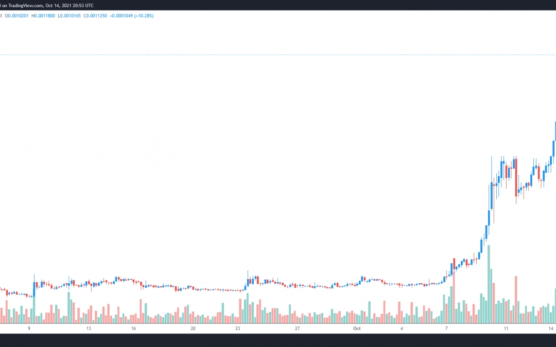 Centric Swap leads ‘Uptober’ after a swift 1,000% gain. Here’s why it could go higher