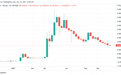 Dogecoin loses 70% against Bitcoin during 6 months of celebrity DOGE endorsements