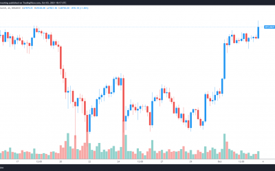 Bitcoin price surge to $49K prompts several altcoins to hit new all-time highs