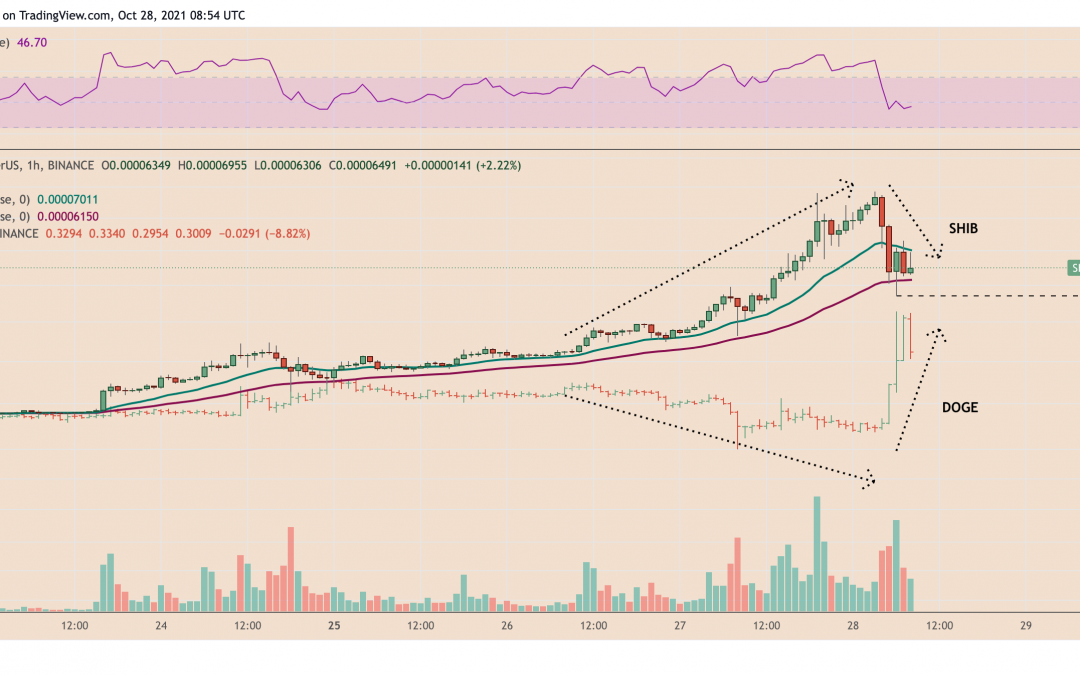 Dogecoin jumps 44% in one day as traders rotate Shiba Inu profits into DOGE