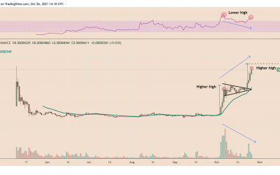 Shiba Inu risks drop with SHIB’s 574% October’s price rally near exhaustion