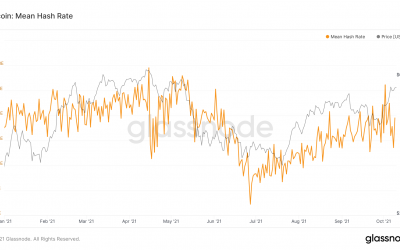 Bitmain Confirms Halting Its Shipment of Antminers to Chinese Customers