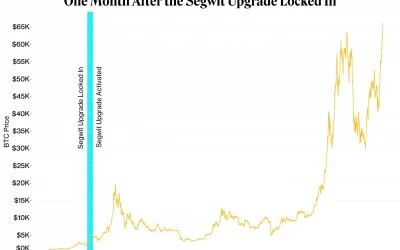 Taproot, Bitcoin’s Next Big Upgrade, Might Already Be Priced In