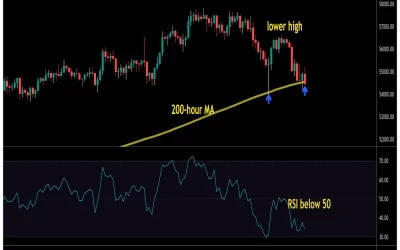 Bitcoin Hovers Near 200-Hour MA Support; Resistance at $56.6K