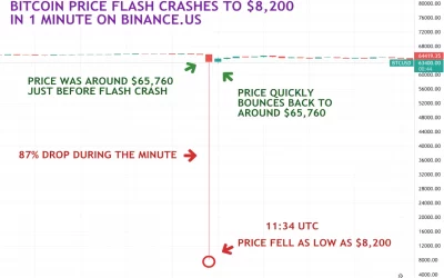 Bitcoin Price Flash Crash on Binance.US Attributed to Trader Algorithm Bug