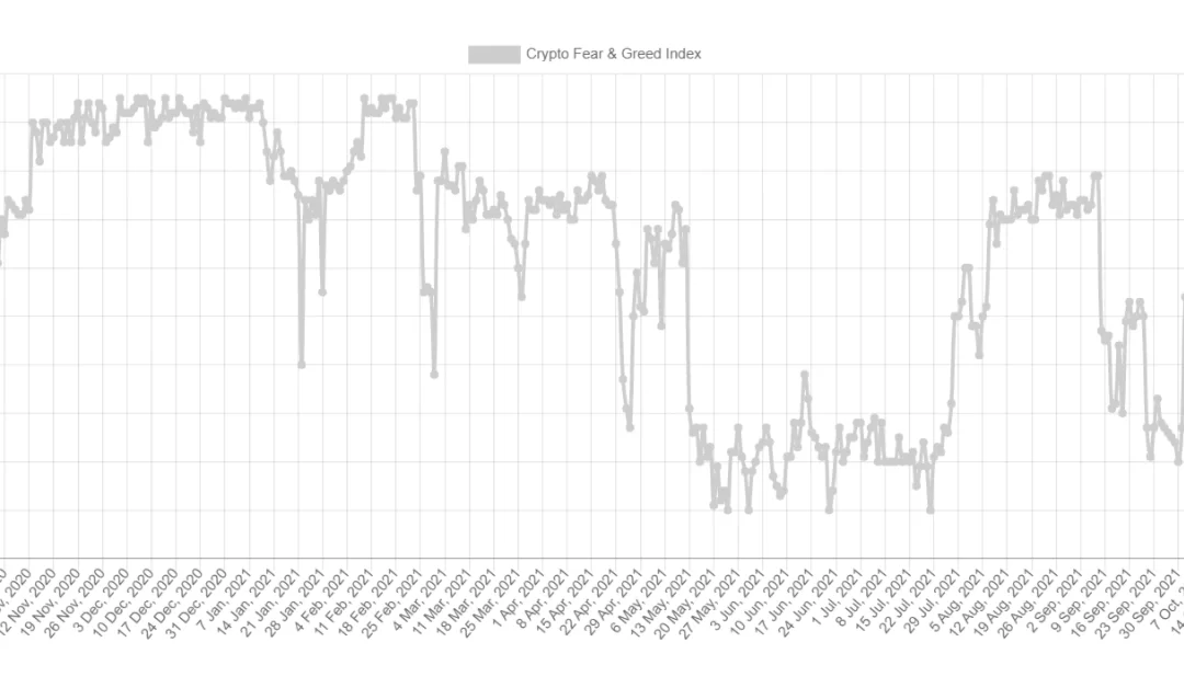 Market Wrap: Bitcoin Drops as Indicators Show Extreme Optimism