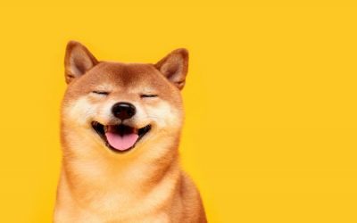 Shiba Inu (SHIB): A Complete Beginner’s Guide