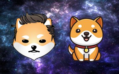 As DOGE, SHIB Markets Fall Back, Baby Doge Coin and Dogelon Mars Prices Skyrocket