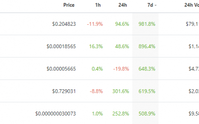 Meme coin mania triggers triple-digit gains from Binance Smart Chain-based altcoins