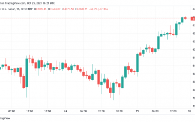 Bitcoin charges toward $64K as Tesla ATH boosts Elon Musk to $250B net worth