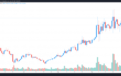 OMG eyes a new all-time high after unveiling its ‘Boba Network’ layer-2 solution