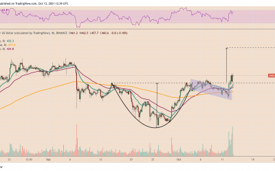 Binance Coin eyes $560 next after BNB price ‘Cup and Handle’ breakout