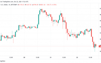 Analysts hold their $250K Bitcoin price target even as BTC falls below $60K