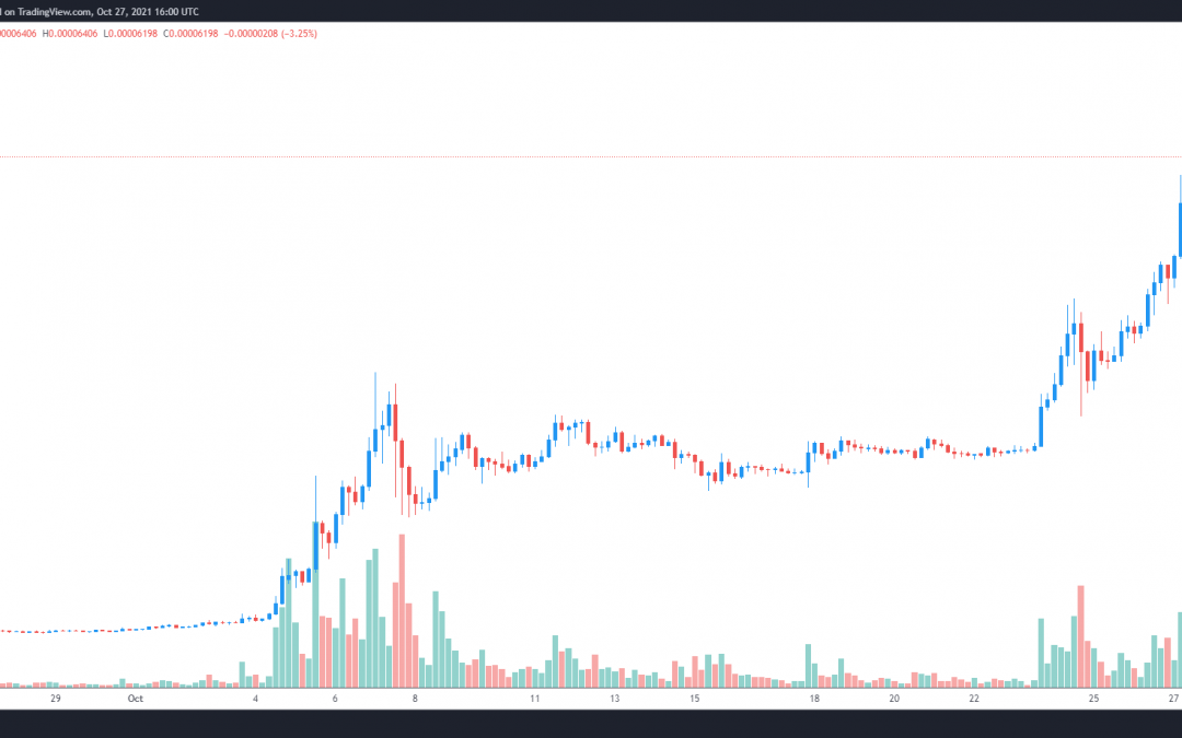 Shiba Inu fetches a new ATH — 3 reasons why SHIB keeps jumping higher