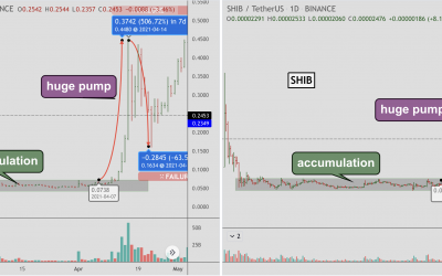 ‘Much ow’ ahead? Dogecoin chart fractal puts Shiba Inu’s 390% QTD rally in danger