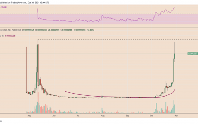 Elon Musk-named meme token ‘Dogelon Mars’ gains nearly 4000% in October