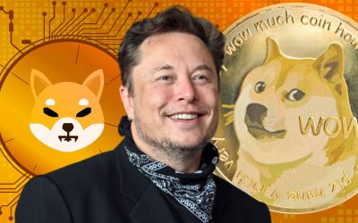 Elon Musk Discusses Important Dogecoin Improvements, Confirms No Investment in Shiba Inu