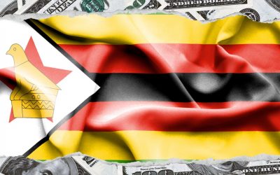 No Plans to Make US Dollar Sole Currency, Zimbabwean Finance Minister Calls Idea ‘Suicidal’