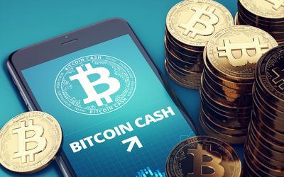 ETC Group Releases Bitcoin Cash Report Praising High Usage and Vibrant Development