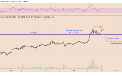 Litecoin grapples with ‘double top’ risks after LTC price rallies 37% in November