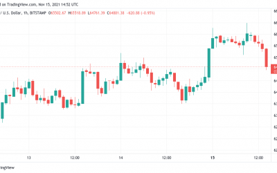 Bitcoin falls from $66K highs, Tesla down 3% after Elon Musk warns he could sell more stock