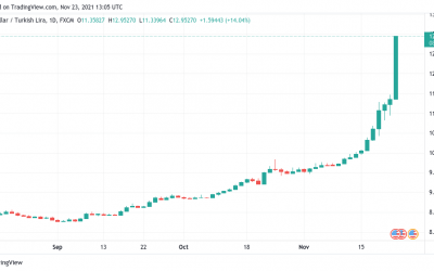 Bitcoin hits new all-time high in Turkey as fiat currency lira goes into freefall