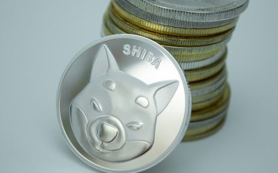 Top places to buy Shiba Inu