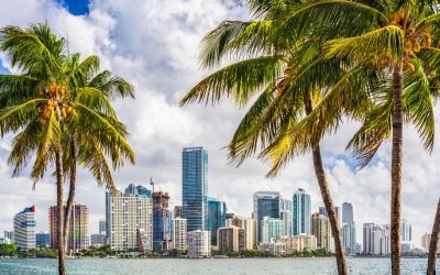 Miami City to dole out yield from staking MiamiCoin, says Mayor