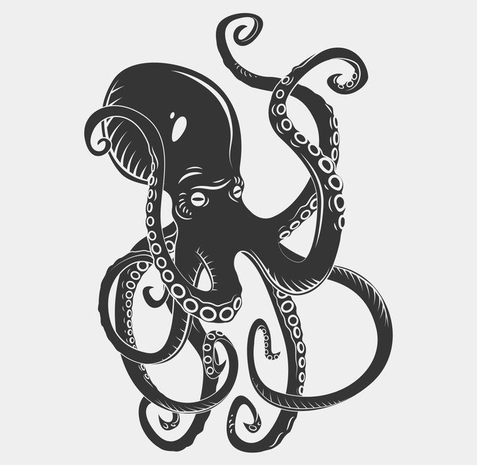 Not another Squid token: Where to buy AngrySquid, the token that gained 1,129%