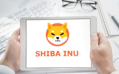 Shiba Inu (SHIB) surges 30% in last 24 hours ahead of Kraken listing