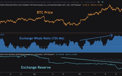 Bitcoin whale selling jumps while BTC price holds $60K and buyers snap up supply