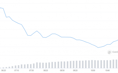 DeFi traders cry foul after only 0.015% of active ParaSwap wallets receive PSP tokens